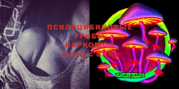 стаф Мегион