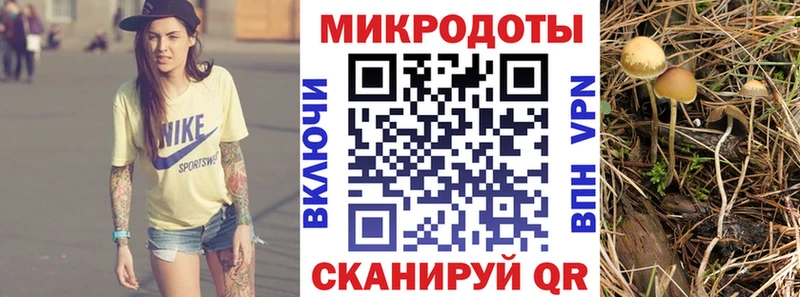 нарко площадка состав  гидра ONION  Пушкино  Псилоцибиновые грибы Cubensis 